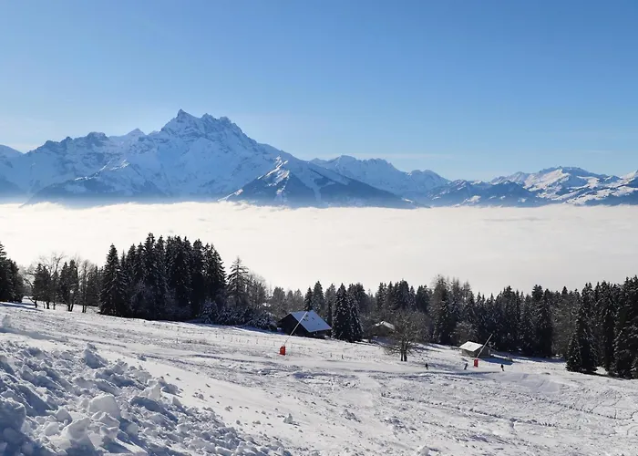 Ermitage 11 By Interhome Villars-sur-Ollon