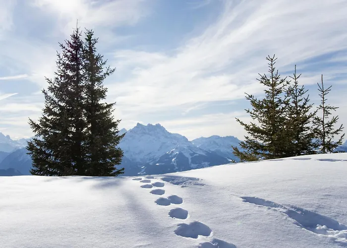 Ermitage 11 By Interhome Lejlighed Villars-sur-Ollon