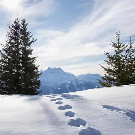 Ermitage 11 By Interhome דירה וילארס-סור-אולון