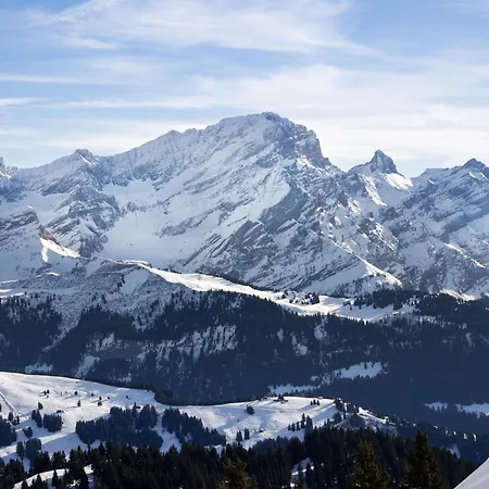 Ermitage 11 By Interhome * וילארס-סור-אולון